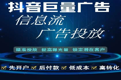 某企业SEM广告投放的ROI提升策略及效果展示